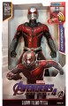 antman (1).jpg