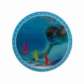 dive 2.jpg