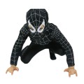 SPIDER CZARNY.jpg