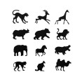 ANIMALS.jpg
