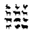 ZIELONE ANIMALS.jpg