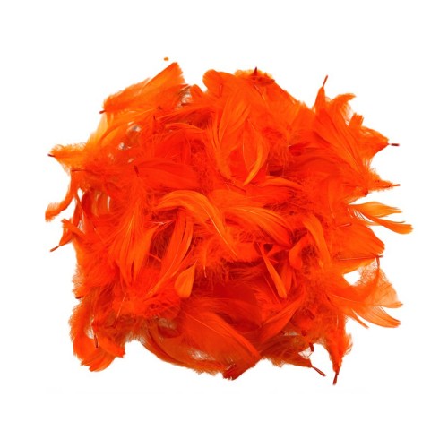 PIÓRA POMARAŃCZOWE.jpg