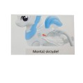 do painta 3 - zrobione.jpg