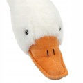 c0ae0f8f4a6fbaad66a3a3eb78af.jpg
