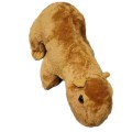 MASKOTKA KAPIBARA 27 cm W3.jpg
