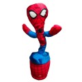 spidermankak.jpg