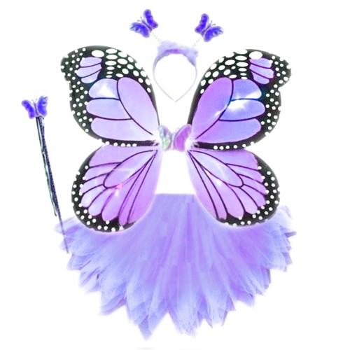 MOTYL FIOLETOWY.jpg