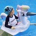 jendo3.jpg