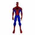 spider1.jpg